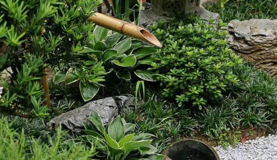 新中式别墅庭院